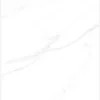 60x60_marmi-satatuario-face5_1 PORCELANATO QUA 120X180 STATUARIO GOYA MATE