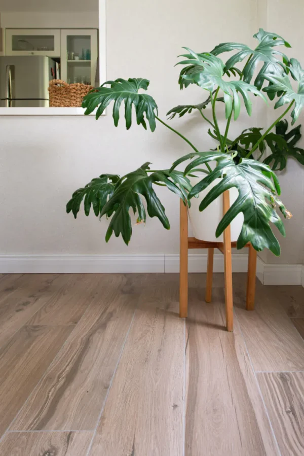 ILVA ECOWOOD ROVERE – Soles Ilusiones