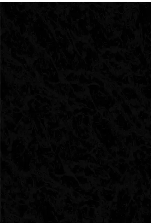 glaciar-negro CERAMICO CAÑUELAS 43X43 GLACIAR NEGRO – Soles Ilusiones