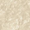 CERAMICA-GOBI-BEIGE-FULL.jpg CERAMICO SCOP 33X33 GOBI FIT GRIS BRILLANTE